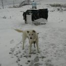 입암농장 이미지