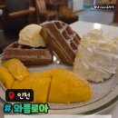 청풍모들 | 와플로아 구월동디저트카페 와플카페 주차메뉴솔직후기