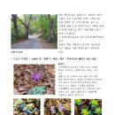 연화산이야기