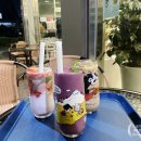 더코지블랭크 이미지