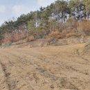 포근한 공인중개사사무소 이미지