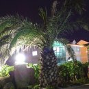 뜨레피아 이미지