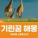 기린 이미지