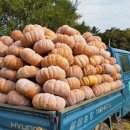 참샘골농장 이미지