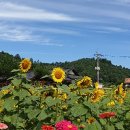 이효석농장 이미지