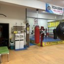 엘마복싱체육관 이미지