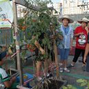 신갈푸른학교 이미지