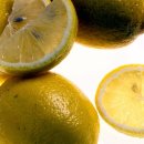 복음요양병원 이미지