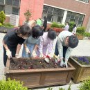 부천부흥초 이미지