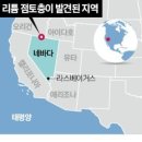 (주)광산석유 Daum카페