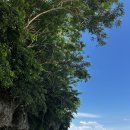 [남부] 댄스스포츠(2025) | 발리 울루와뚜는 어떤 곳? | 울루와뚜 여행 물가·해변·숙소 위치·이동·케착댄스