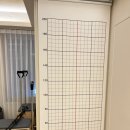 머슬필라테스 | 공덕역 필라테스 1:1 레슨 후기 머슬케어필라테스