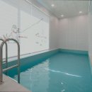 모모애견풀빌라 이미지