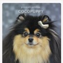 모리펫샵 이미지