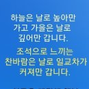 바보가 만드는 세상 이미지