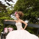 에이메드 이미지