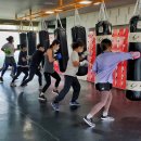 부스트복싱 이미지