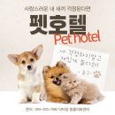 닥터장 동물의료센터 네이버블로그