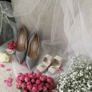 [W6. 가봉스냅] 셀레브 가봉스냅 with 꽃섬스냅 🌷