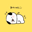뭉티의 하루 이미지