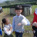 내기농장 이미지