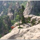 정상농장 이미지