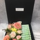 블루메리플라워 이미지