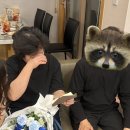 수원-1707 | 영통 꽃집 <플라워유화> 꽃크기 꽃가격 솔직후기 / 칠순잔치 성공적!