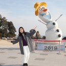 동해시-33 이미지