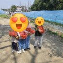 동만농장 | [아이와 함께] 쑤저우 즐기기 : 딸기🍓따기 체험