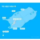 모모디토