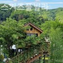 아이리스키즈풀빌라 이미지