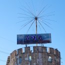 보길도낙지이야기 이미지