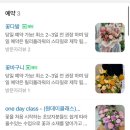 릴리플라워 | [수원 행궁동] 릴리플라워 선물용 화분 구매후기(24시간꽃자판기/가격/영업시간/주차)