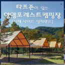 양양포레스트캠핑장 이미지
