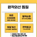 체온UP다이어트 이미지