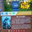 천지미인 백두산 이미지