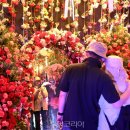 보령 나들이 2코스 투어코리아
