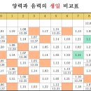 음력의 모순 이미지