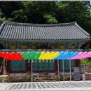 신흥사대웅전 티스토리
