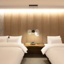 브라운도트 이미지