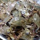 삼봉콘도민박 이미지