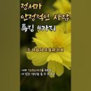 카우젠 - 기장군 이천10길 8-3 | 카우젠