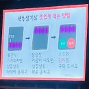 부추삼겹살 | 범계역맛집 부추삼겹살 후기｜안양 고기집 추천, 생삼겹살과 김치찌개가 맛있는 곳