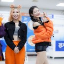 용인실내체육관 이미지