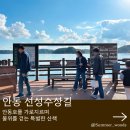 재현중학교 | 안동여행코스추천 물위를 걷는 안동 선성수상길 사진 선성현문화단지 후기