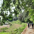 청량학동길 이미지