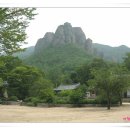 청송카 Daum카페