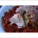 동대문닭한마리 Daum카페