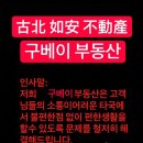 홍교가든 이미지